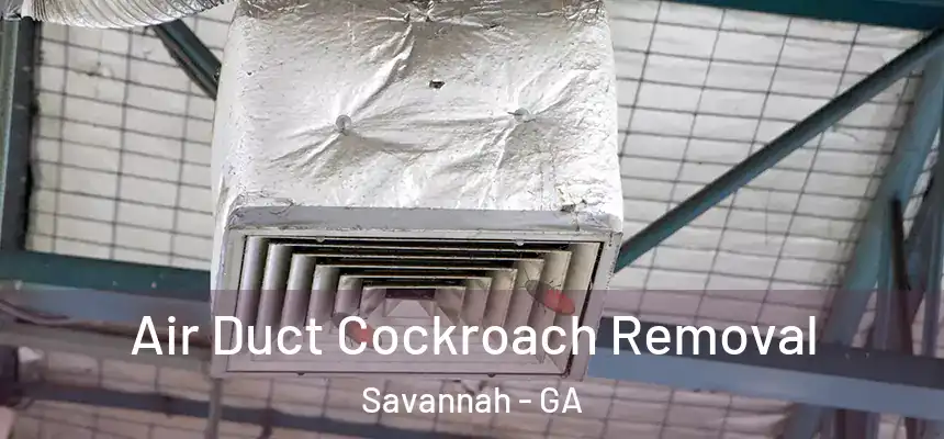Air Duct Cockroach Removal Savannah - GA