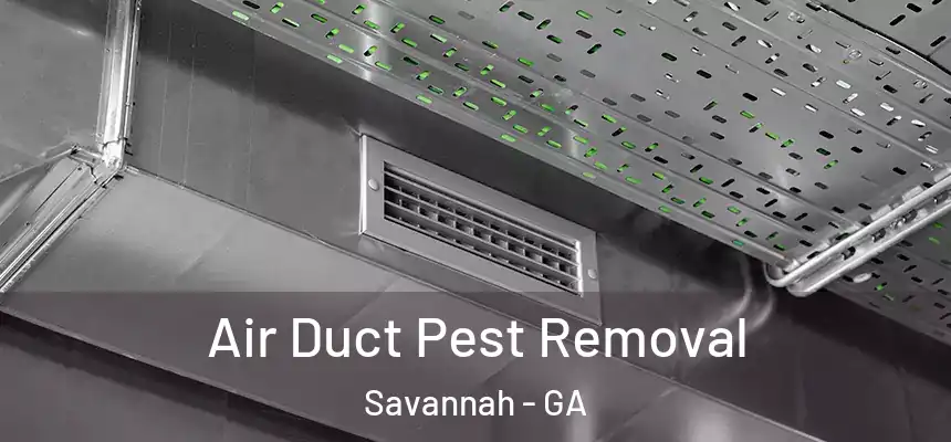 Air Duct Pest Removal Savannah - GA