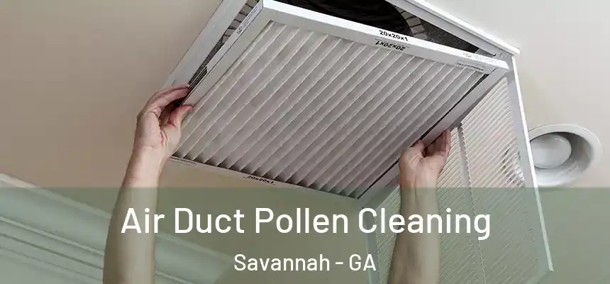 Air Duct Pollen Cleaning Savannah - GA