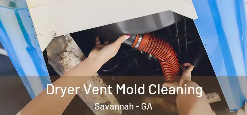 Dryer Vent Mold Cleaning Savannah - GA