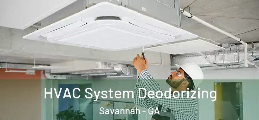 HVAC System Deodorizing Savannah - GA