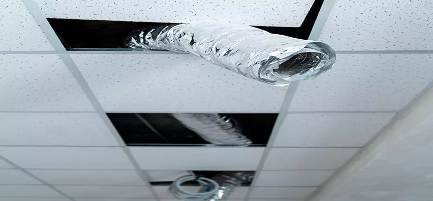 Affordable HVAC Sanitizing After Pest Removal in Savannah