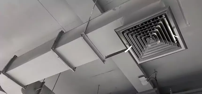 Restorative Allergy Relief Vent Cleaning – Coil, Blower & Housing Detail in Savannah