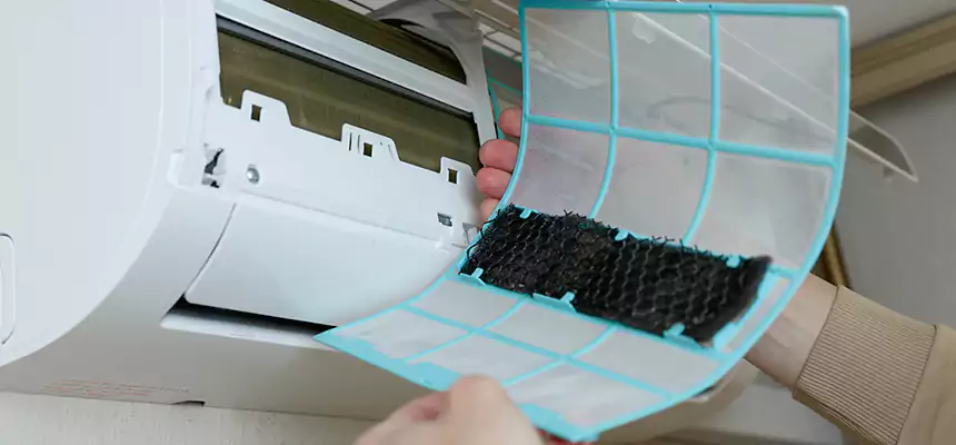 Gentle Ductwork Odor-Control Pet Dander Duct Cleaning in Savannah, GA