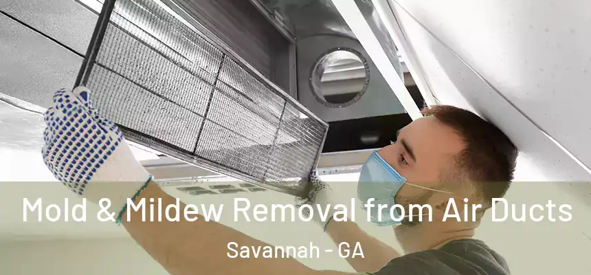 Mold & Mildew Removal from Air Ducts Savannah - GA