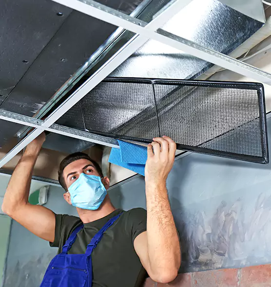 About Air Duct Bacteria Removal in Savannah