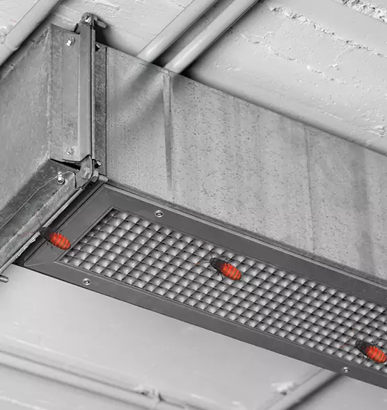 About Air Duct Cockroach Removal in Savannah, GA