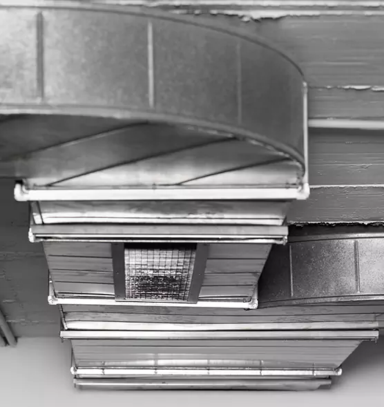 Professional Air Duct Pet Hair Removal in Savannah, GA