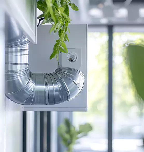 Professional Eco-Safe Dryer Vent Cleaning in Savannah, GA