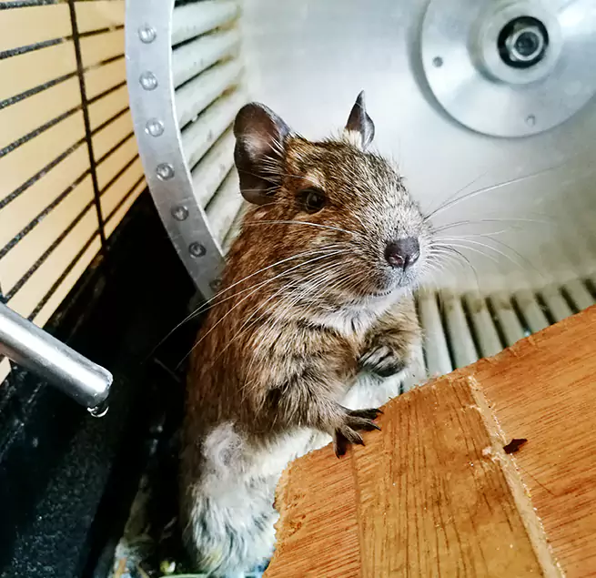 Why Homeowners & Businesses Trust Us Savannah, GA