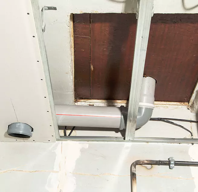 Why Homeowners & Businesses Trust Us in Savannah, GA?