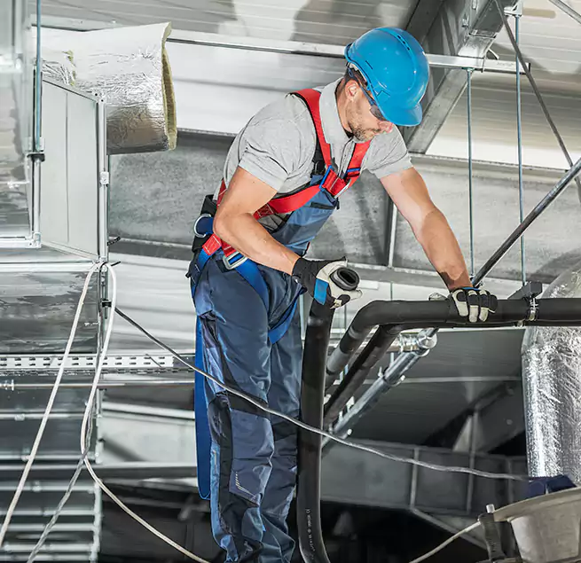 Why Homeowners & Businesses Trust Us in Savannah, GA?