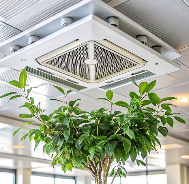 Why Homeowners & Businesses Trust Us in Savannah, GA?