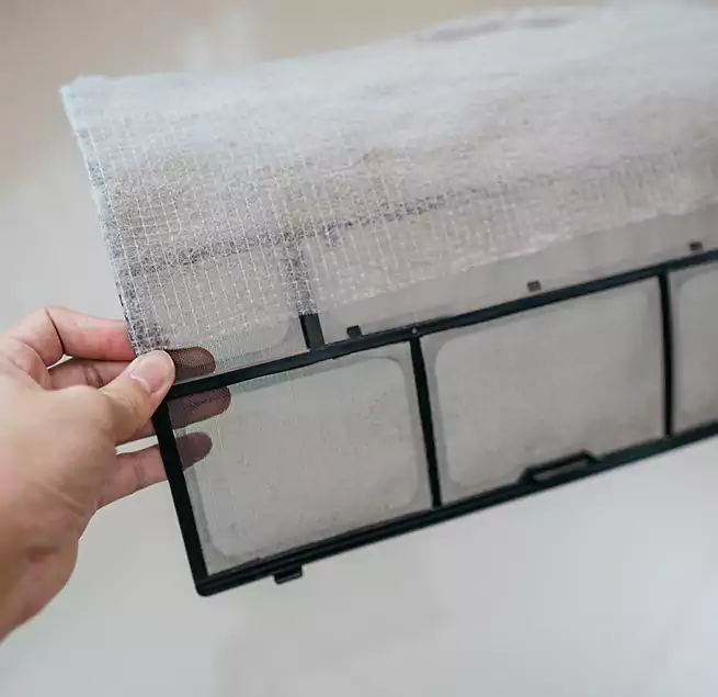 Why Homeowners & Businesses Trust Us in Savannah, GA?