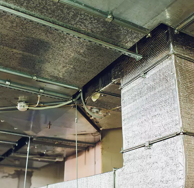 Why Homeowners & Businesses Trust Us in Savannah, GA?