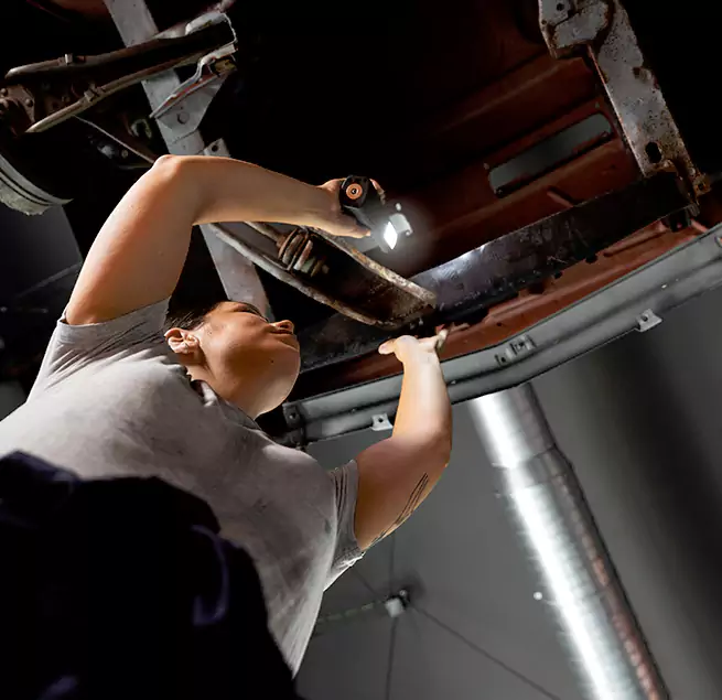 Why Homeowners & Businesses Trust Us Savannah, GA