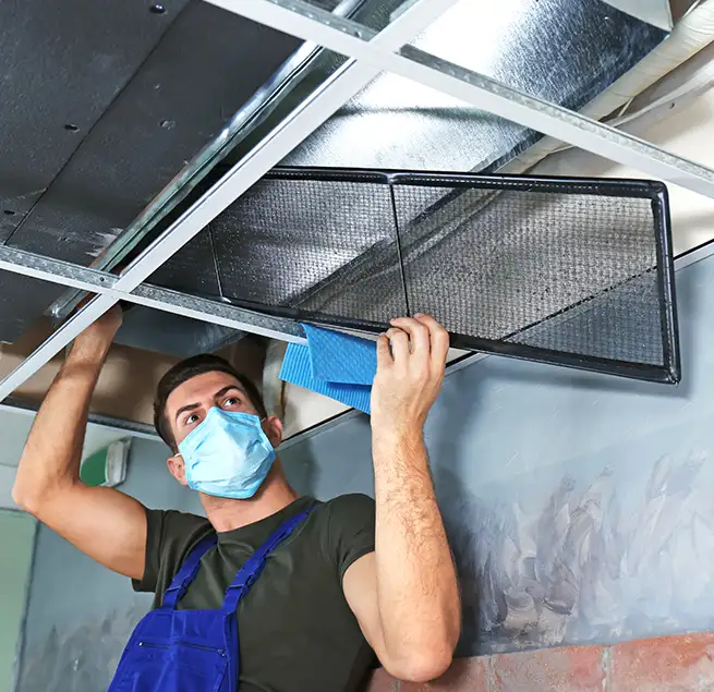 Why Homeowners & Businesses Trust Us in Savannah, GA?