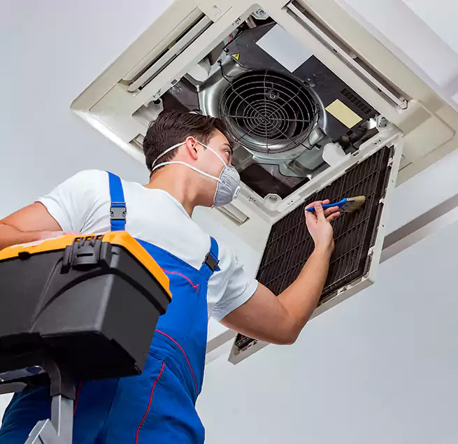 Why Homeowners & Businesses Trust Us in Savannah, GA?